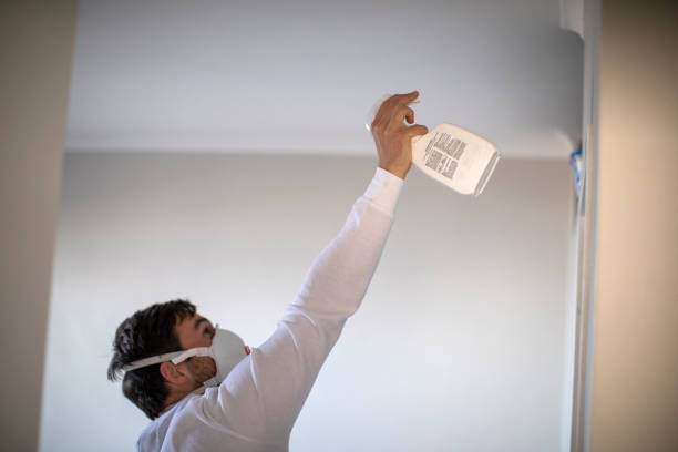 Best Attic Mold Removal  in Salamanca, NY